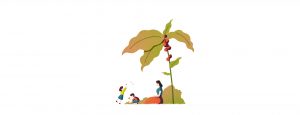 illustration Lavazza 2021 Sustainability Report