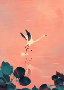 Illustrazione copertina libro di poesie "Morire di more" di Filippo Carpenedo