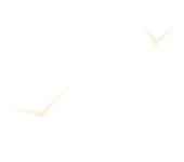 uccelli